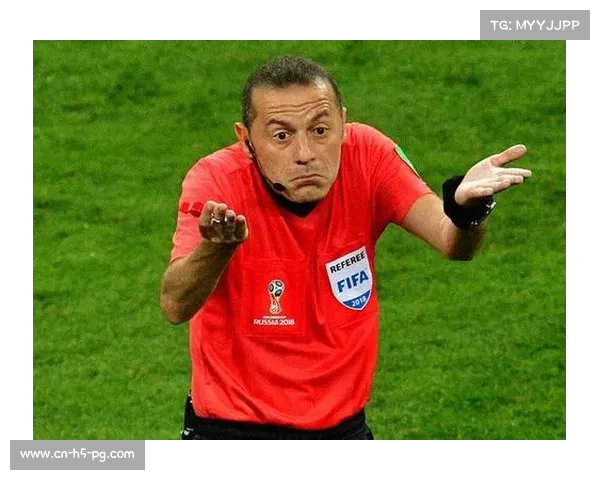 DFL与国际足联合作,引入新裁判培训系统 DFL与国际足联合作,引入新裁判培训系统