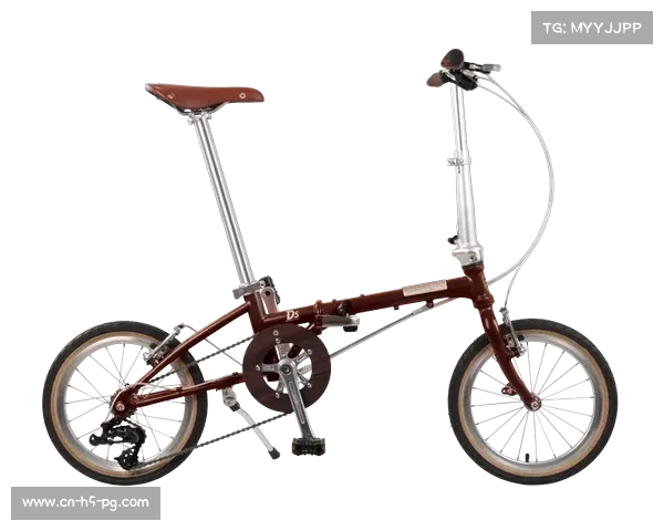 “沪上”骑行故事：现代气息与历史韵味交融的探索